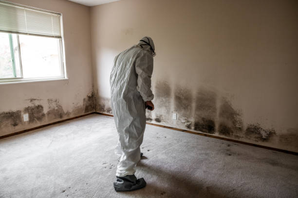 HVAC Mold Remediation